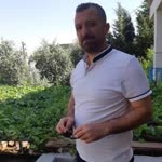 Şemdin