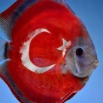 Erdinç