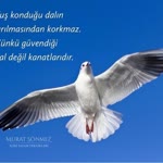 Burcu