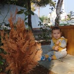 Raşide