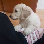 Onur