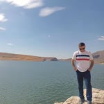 Servet