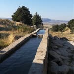 Mevlüt