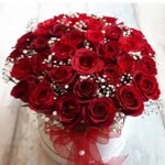 Elif