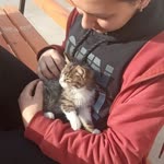 Sıla