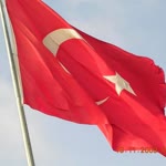 Arif