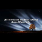 Hasret