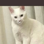 Limonlu