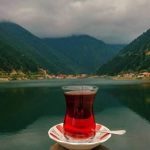 Şeref