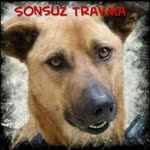 Binnur