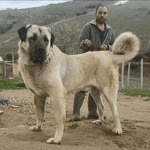 Muzaffer