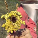 Emine