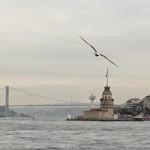 Halit