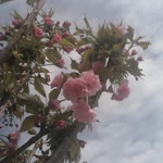 Dilay