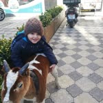 Yasemin