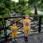 Sedef