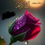 Bahri