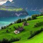 Meral