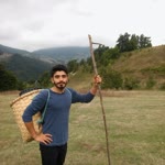 Vedat