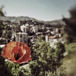 Müdail