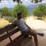 Doğan