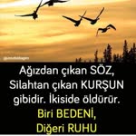 Cansu