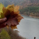 Muharrem
