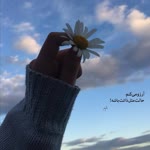 Fatemeh