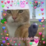 Taha
