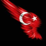 Tamer