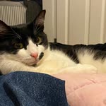 Zeynep