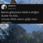 Elif