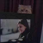 Ayşe