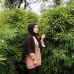 Özlem