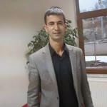 Şahin