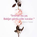 Nizamettin