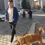 Tolga