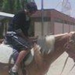 Erhan