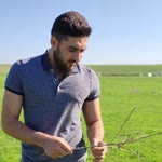 Yusuf