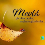 Kadriye