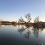 Ayşe