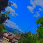 Şule