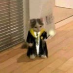 İm Pikachu