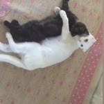 Büşra
