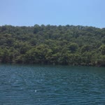 Erdi
