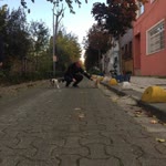 Tolga