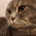 Zeynep
