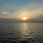Sedat