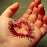 Alper