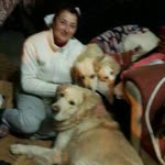 Aysel